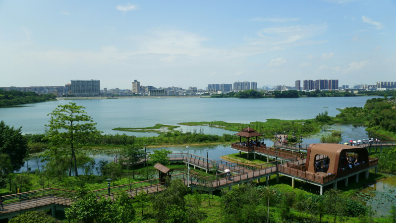 盤點(diǎn)深圳十大最美公園，你最愛的是哪個(gè)公園？